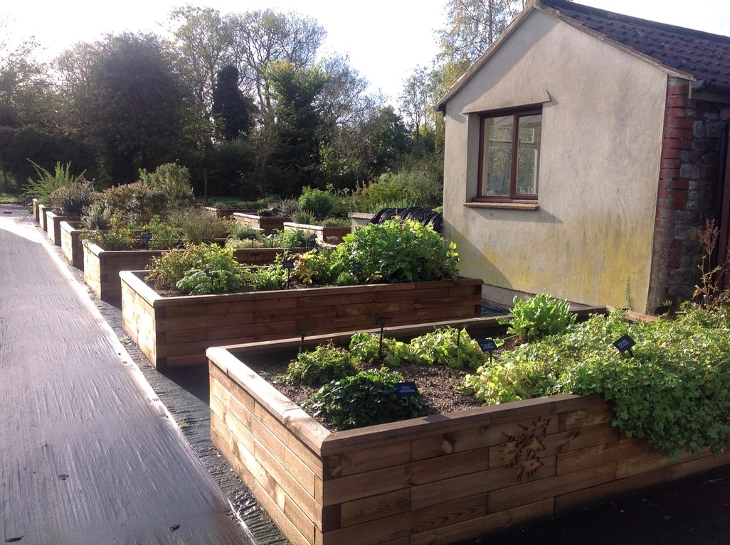 Jekka’s newly built WoodblocX raised beds near Bristol