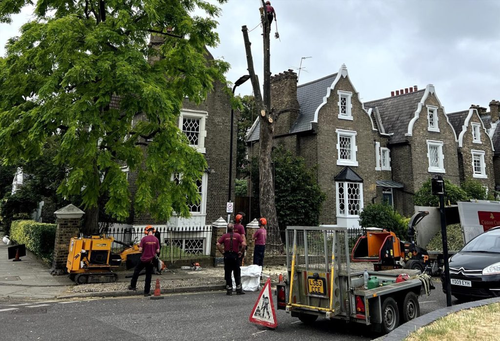 Custom Cutters Tree surveyors