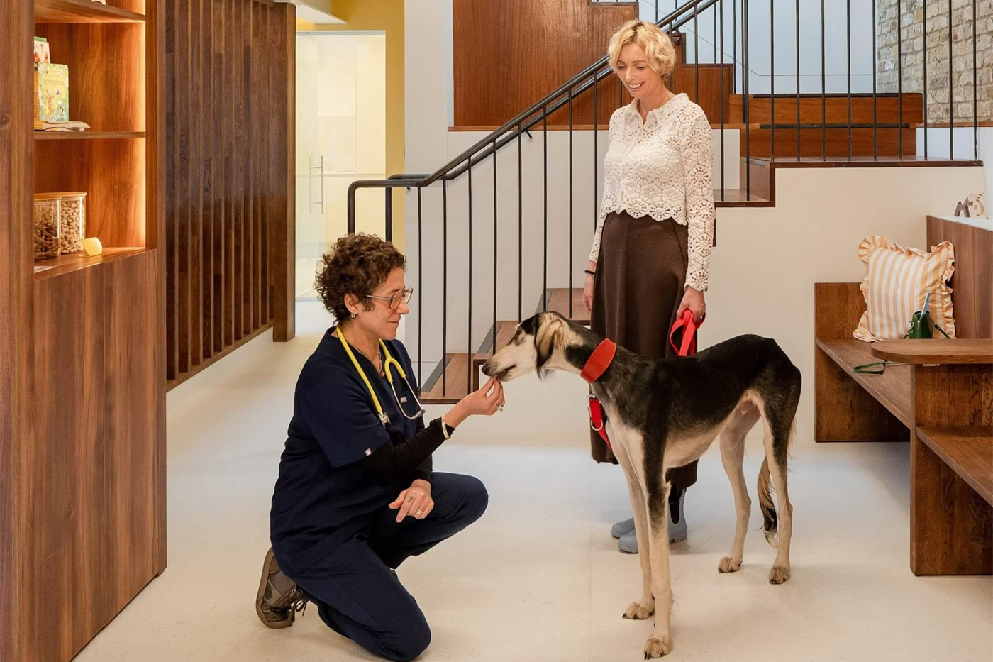 Hello Vet New Clinic